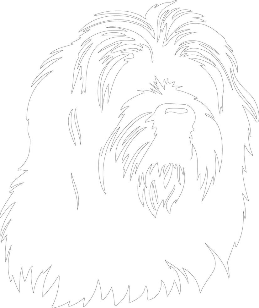 Polish Lowland Sheepdog  outline silhouette vector