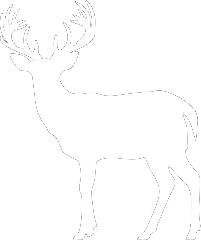 white-tailed deer  outline silhouette vector