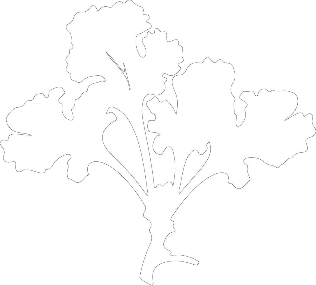 rhubarb  outline silhouette vector