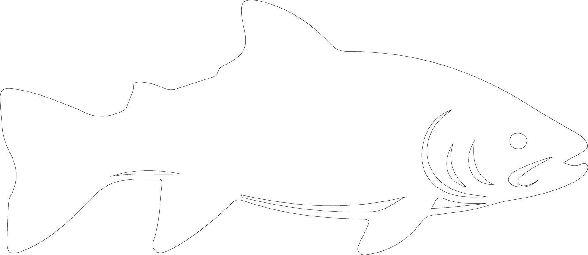 lake trout  outline silhouette vector