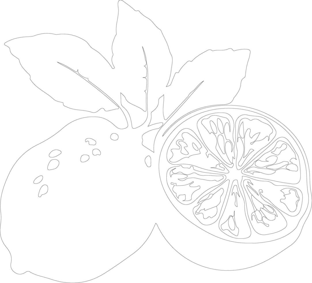 ugli Fruta contorno silueta vector