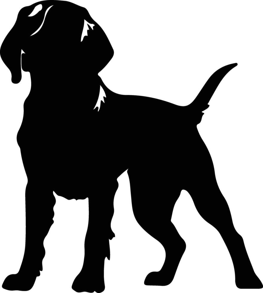 Small Munsterlander Pointer    black silhouette vector