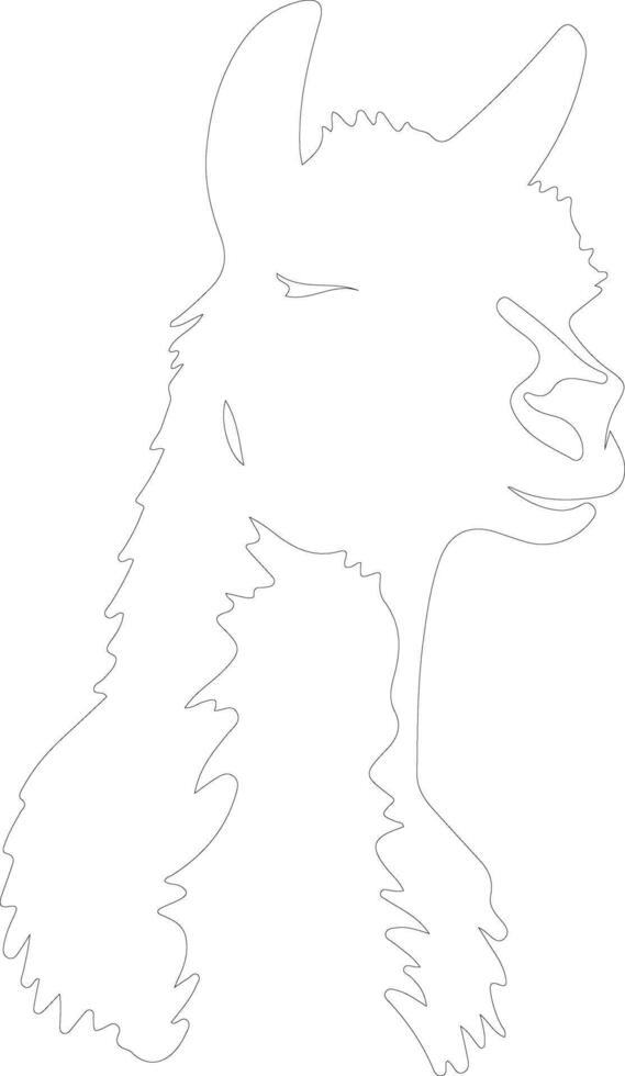 alpaca  outline silhouette vector