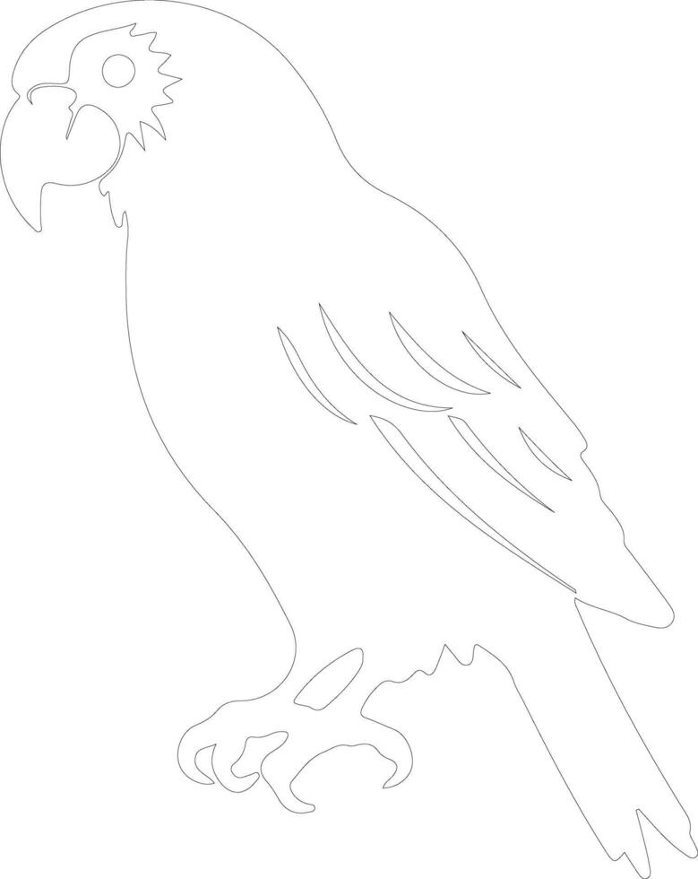 parrot  outline silhouette vector