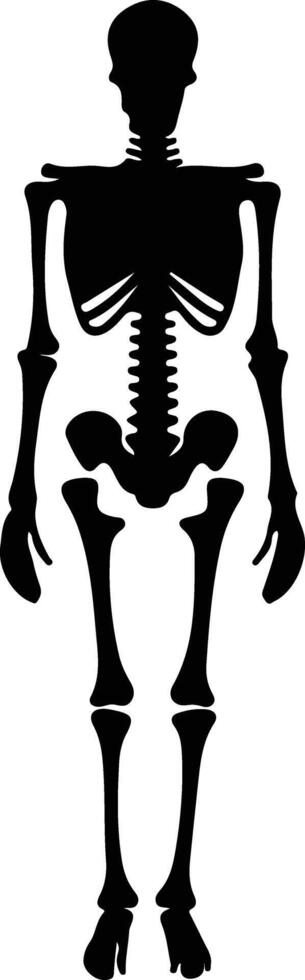 Skeleton  black silhouette vector