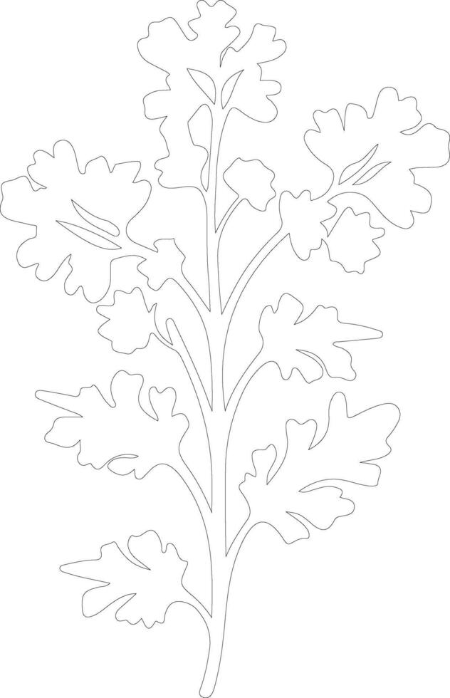 arugula  outline silhouette vector