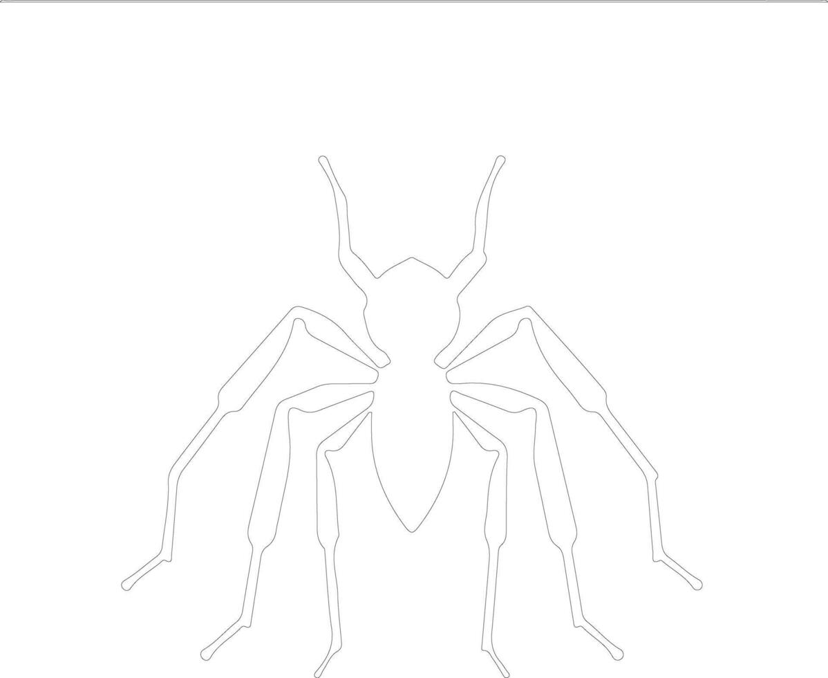 assassin bug  outline silhouette vector