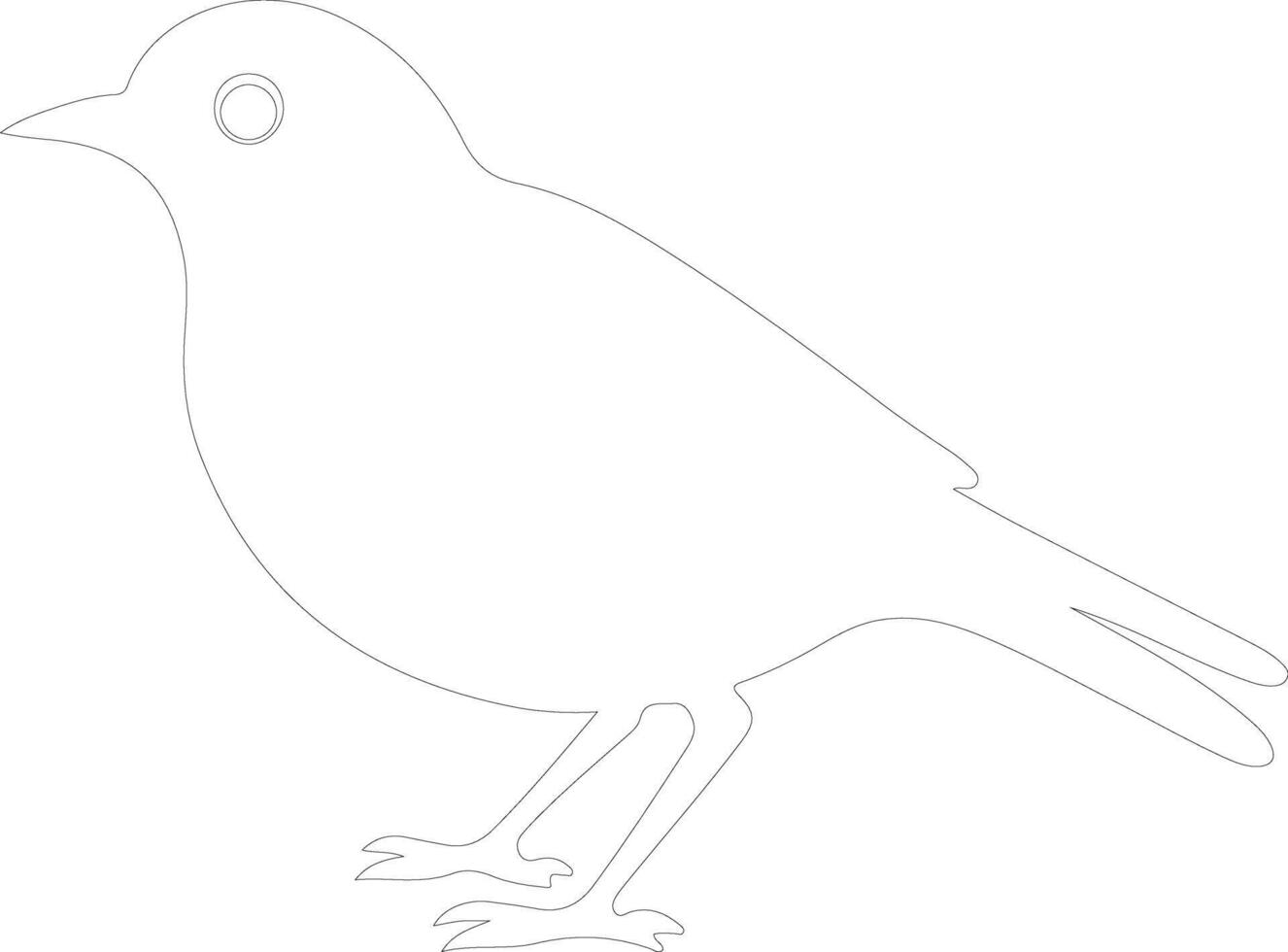 American Robin  outline silhouette vector