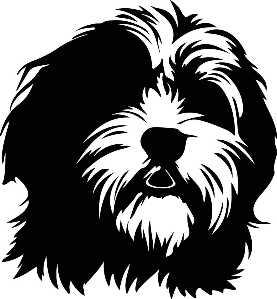 Havanese    black silhouette vector