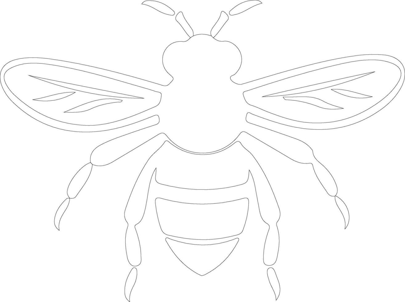 honey bee  outline silhouette vector