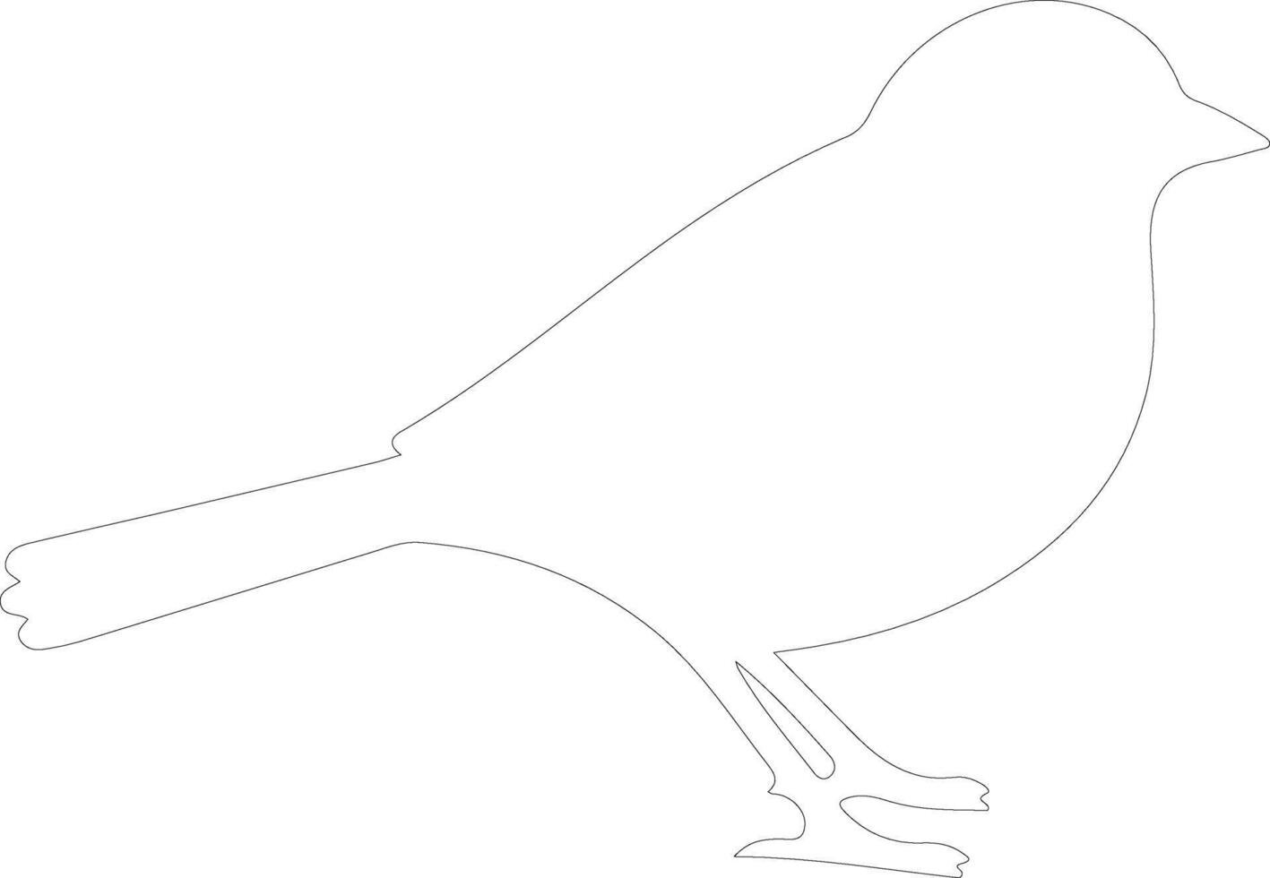 junco  outline silhouette vector