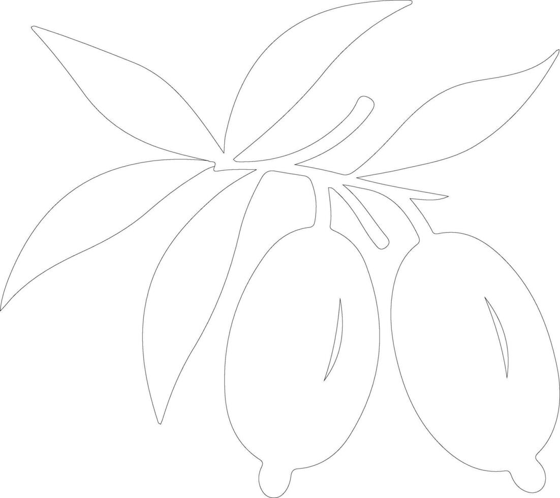 mango  outline silhouette vector