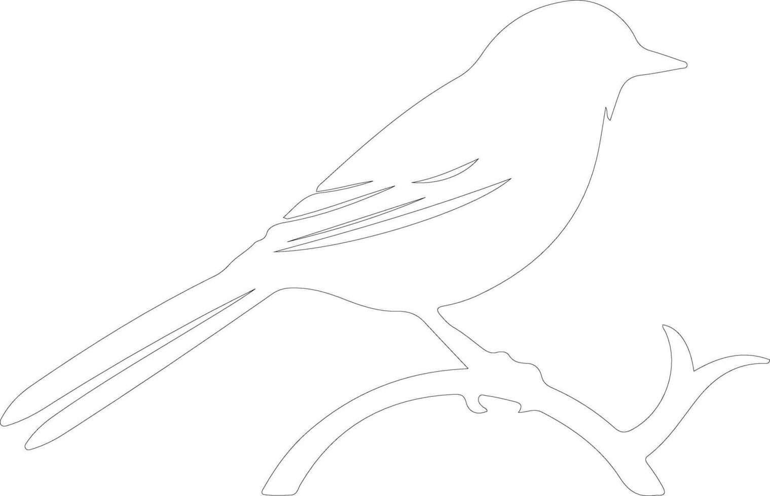 bird  outline silhouette vector