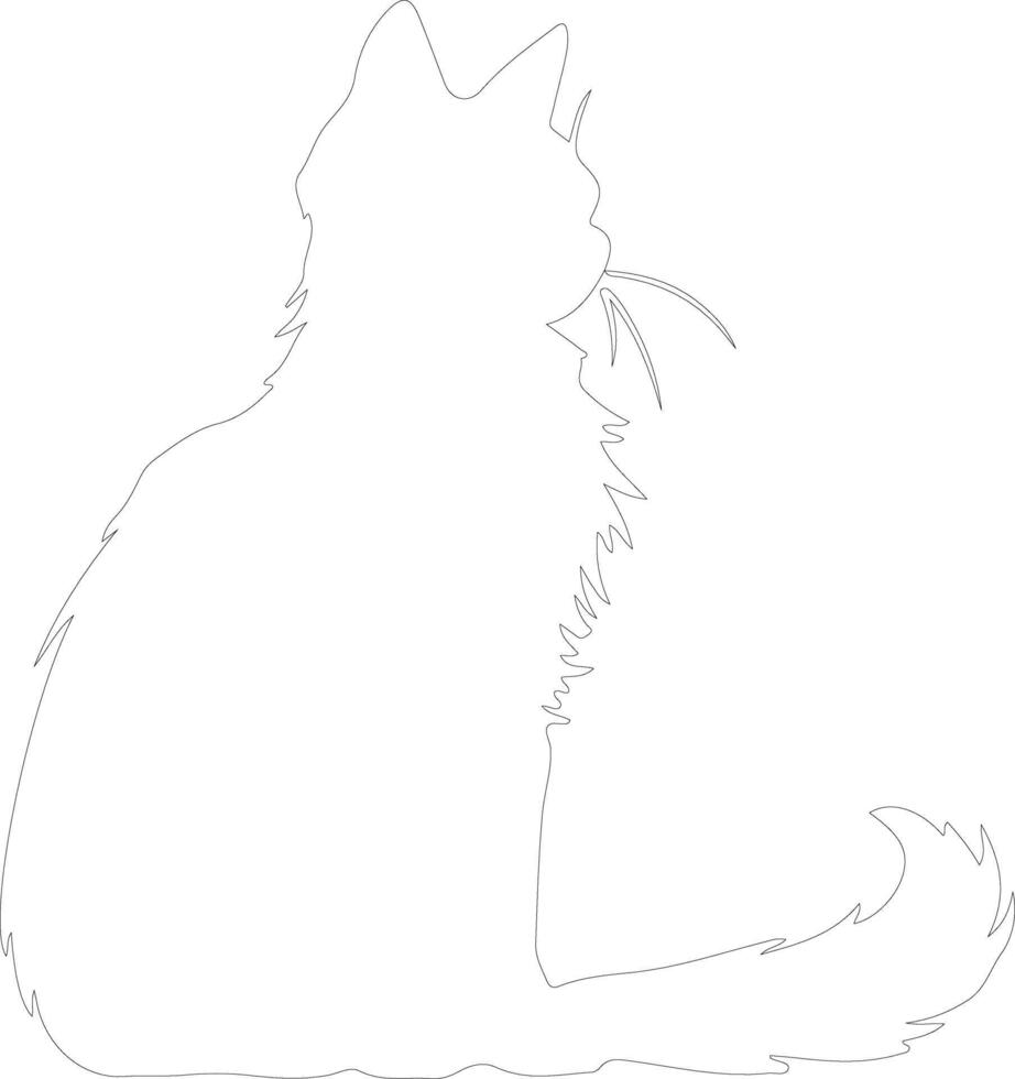 Somali Cat outline silhouette vector