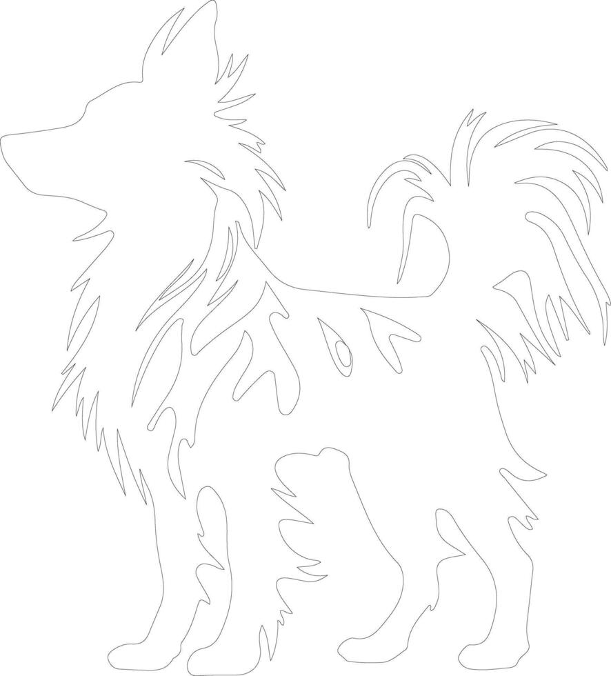 Chinese Crested  outline silhouette vector