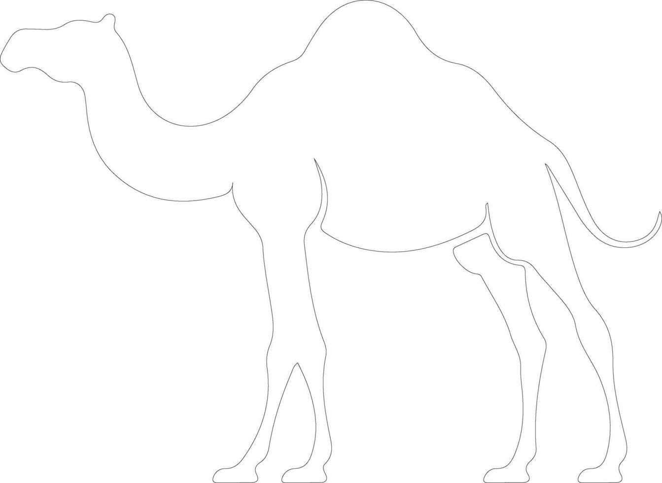 camel outline silhouette vector