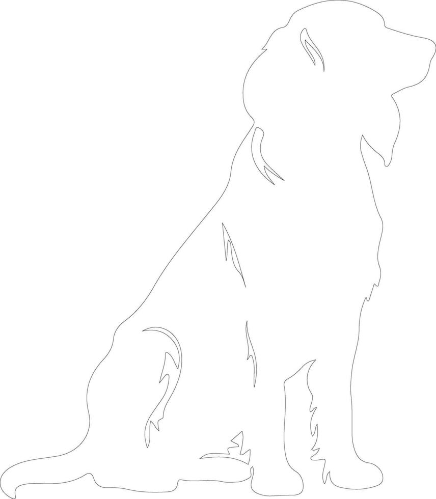 Irish setter  outline silhouette vector