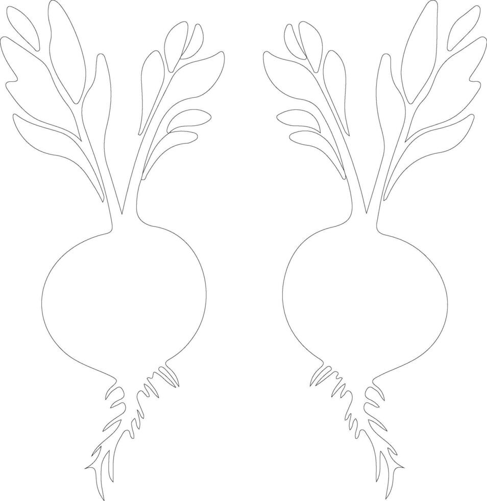 beets  outline silhouette vector