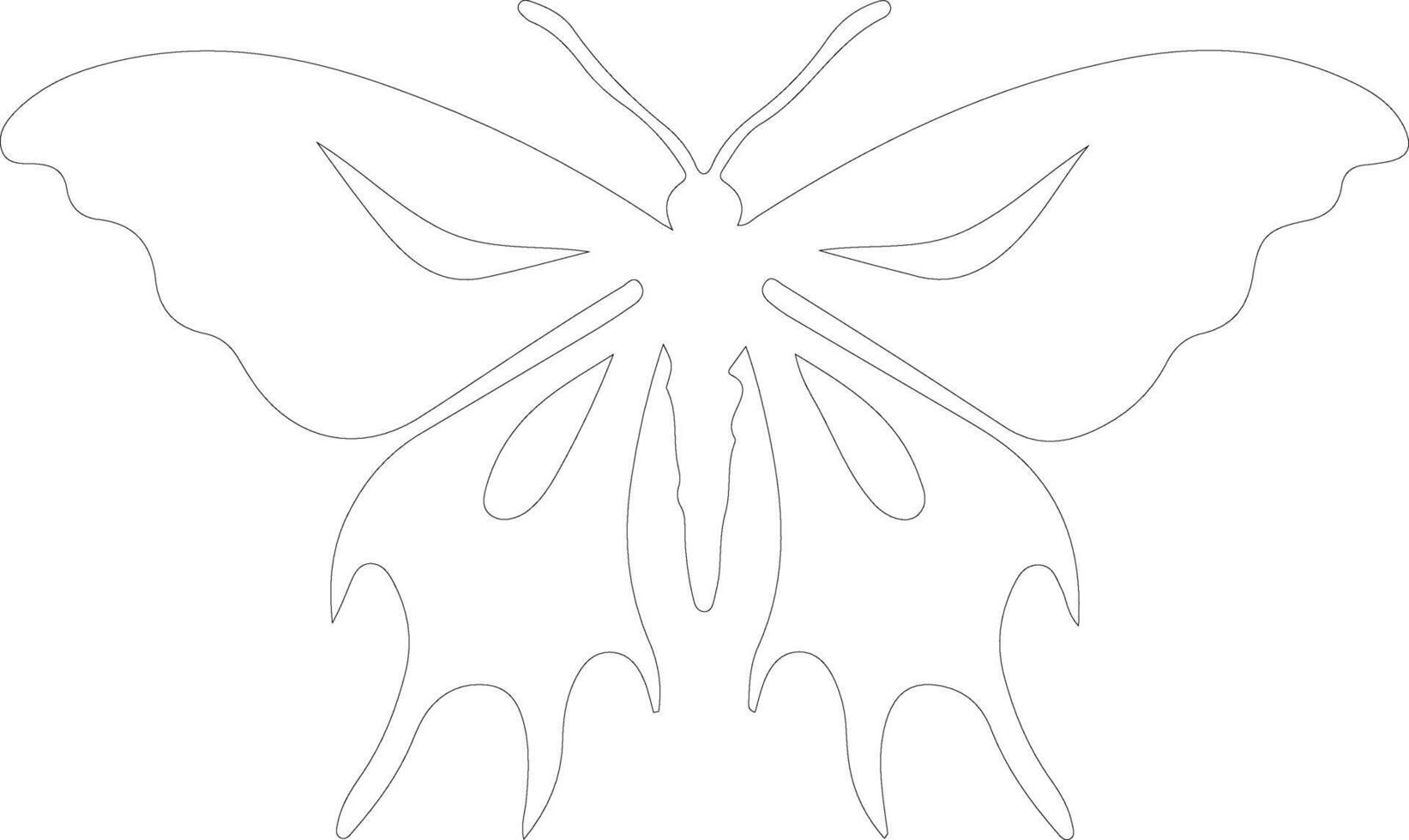 luna moth  outline silhouette vector
