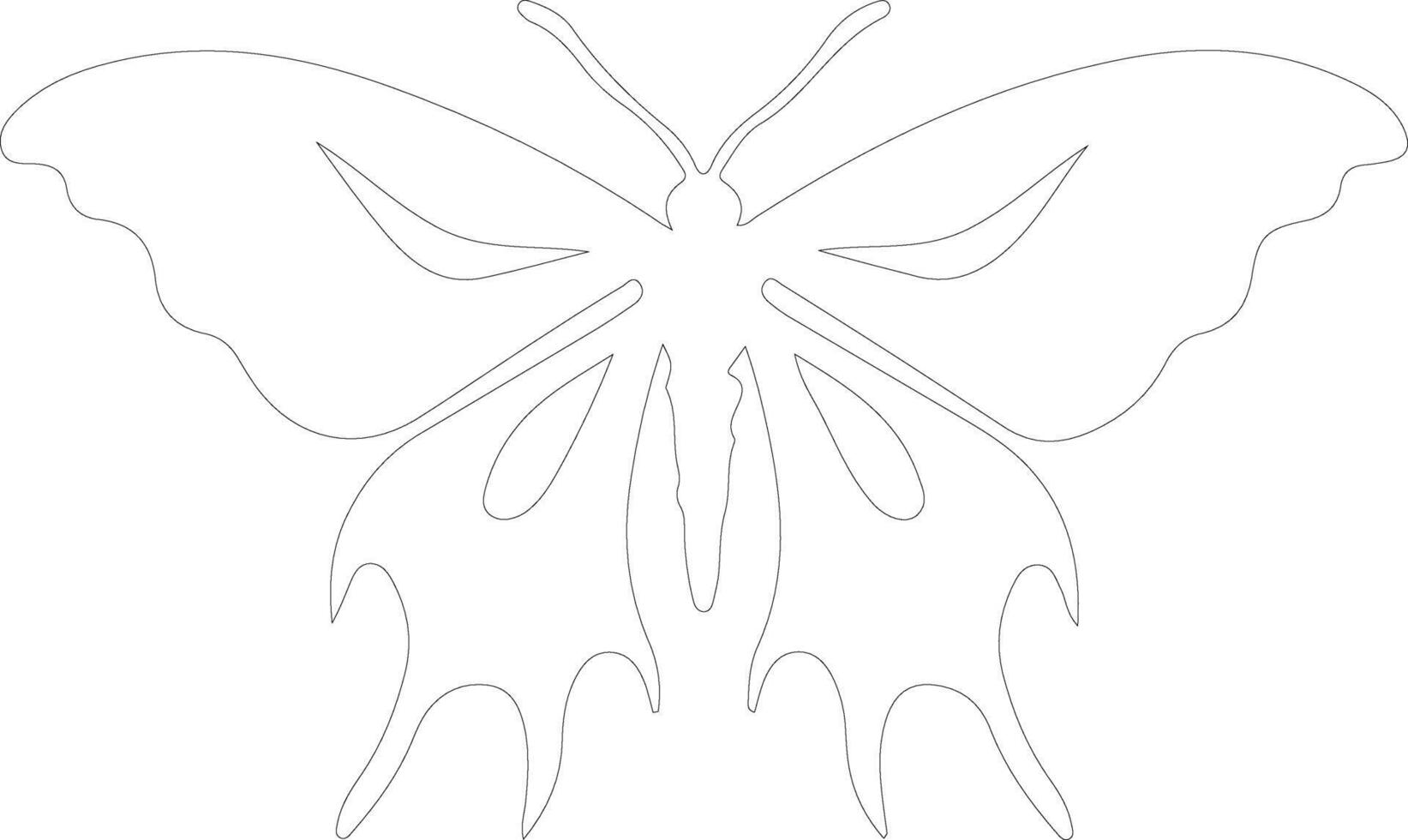 luna moth  outline silhouette vector