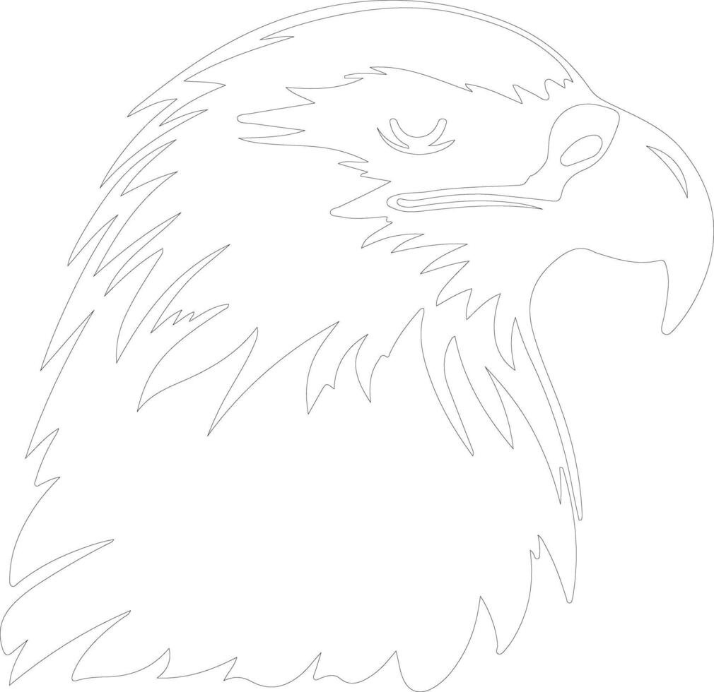 bald eagle  outline silhouette vector