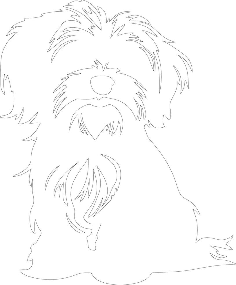 Havanese  outline silhouette vector