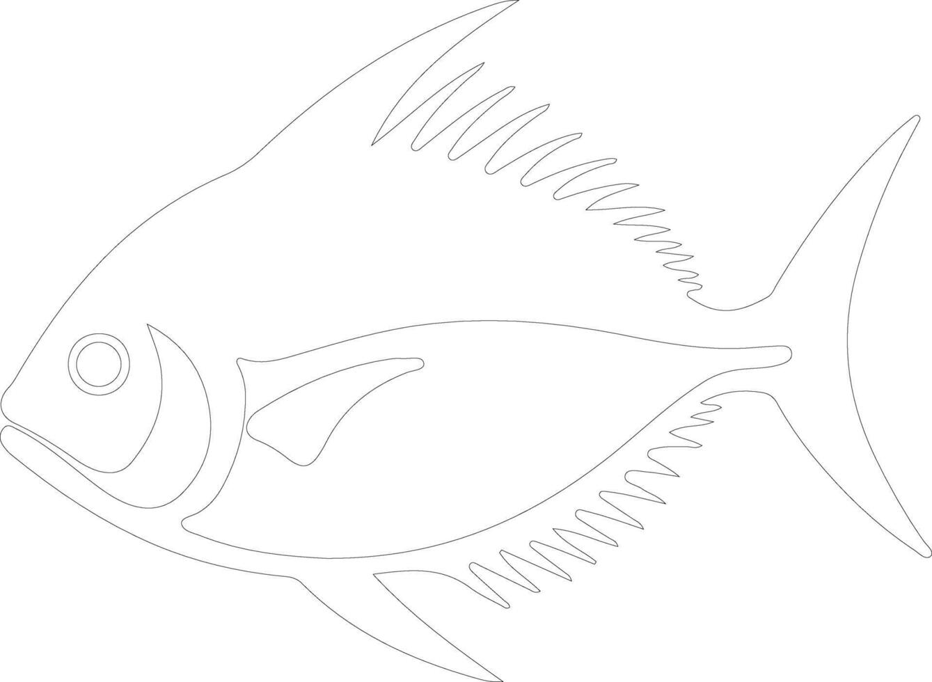 pompano    outline silhouette vector