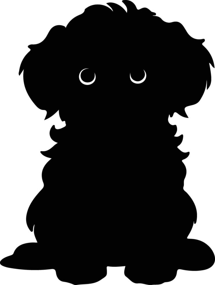 Toy Poodle   black silhouette vector