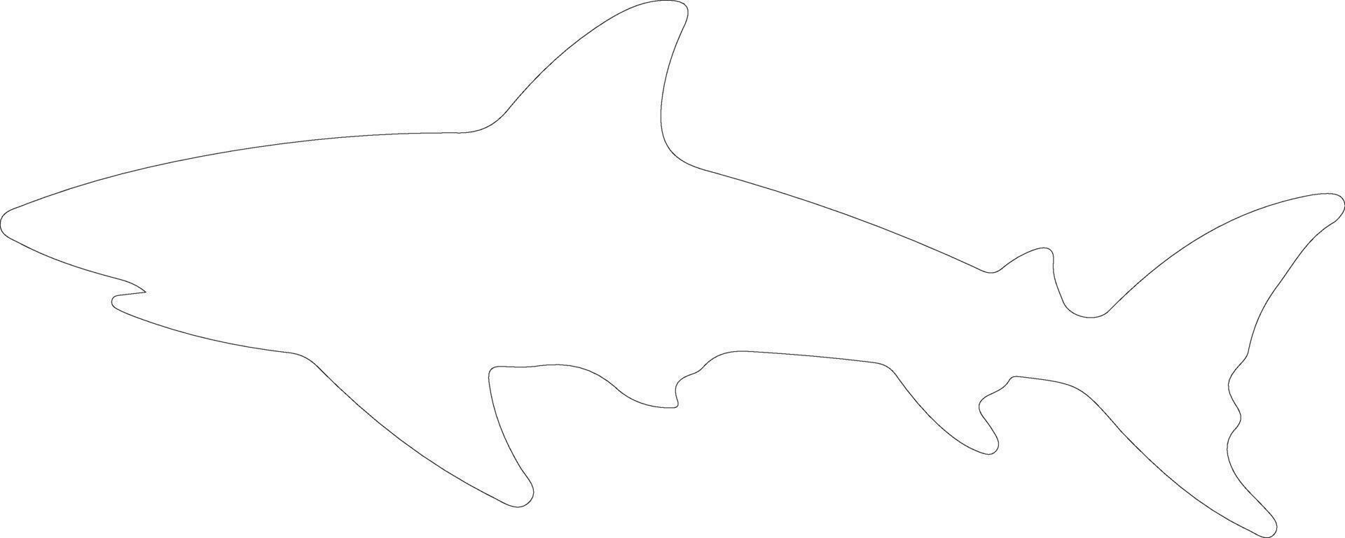 basking shark  outline silhouette vector