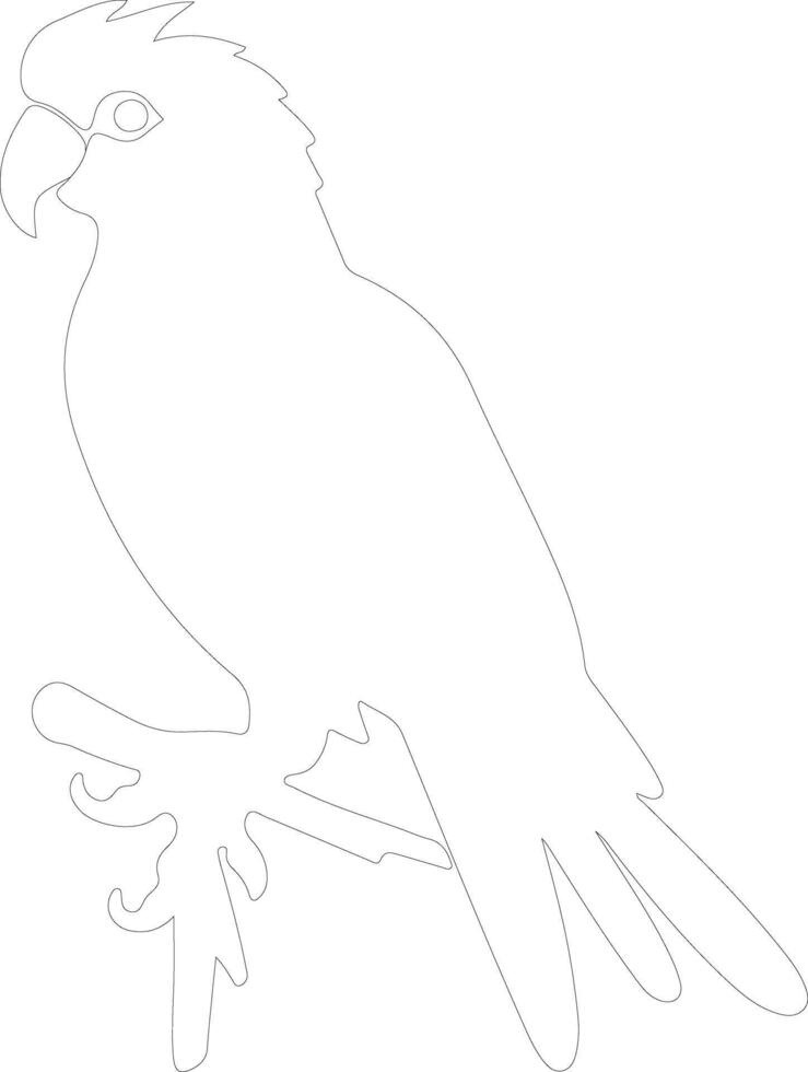 cockatoo outline silhouette vector