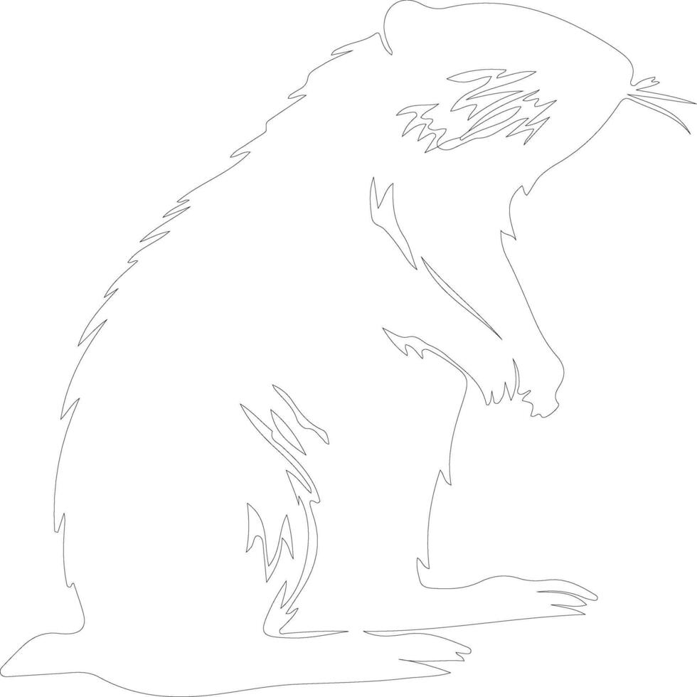 nutria contorno silueta vector