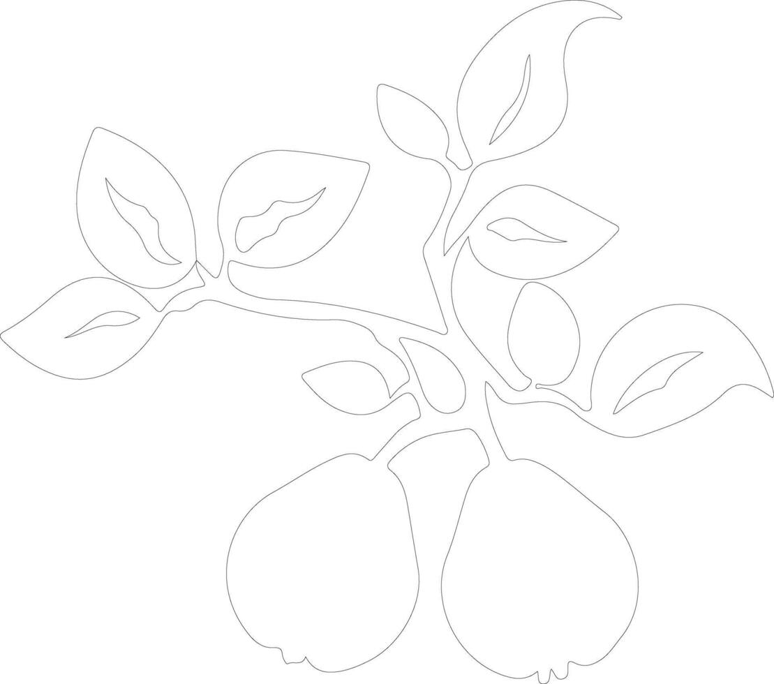 quince  outline silhouette vector