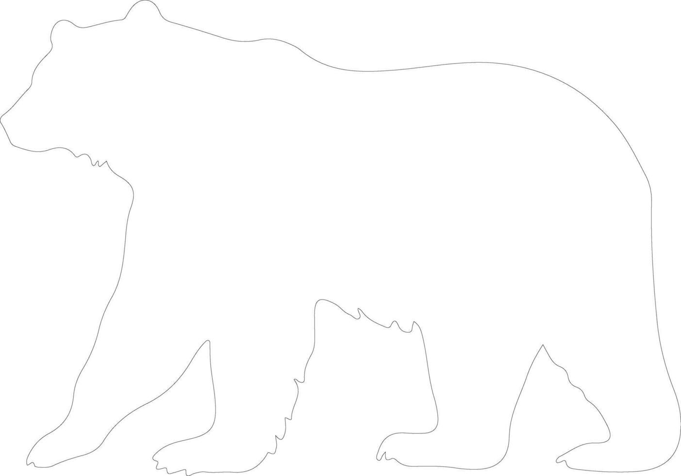 bear  outline silhouette vector