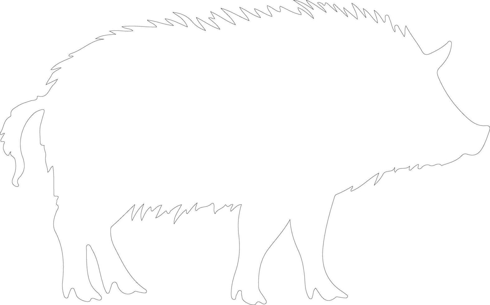 javelina  outline silhouette vector