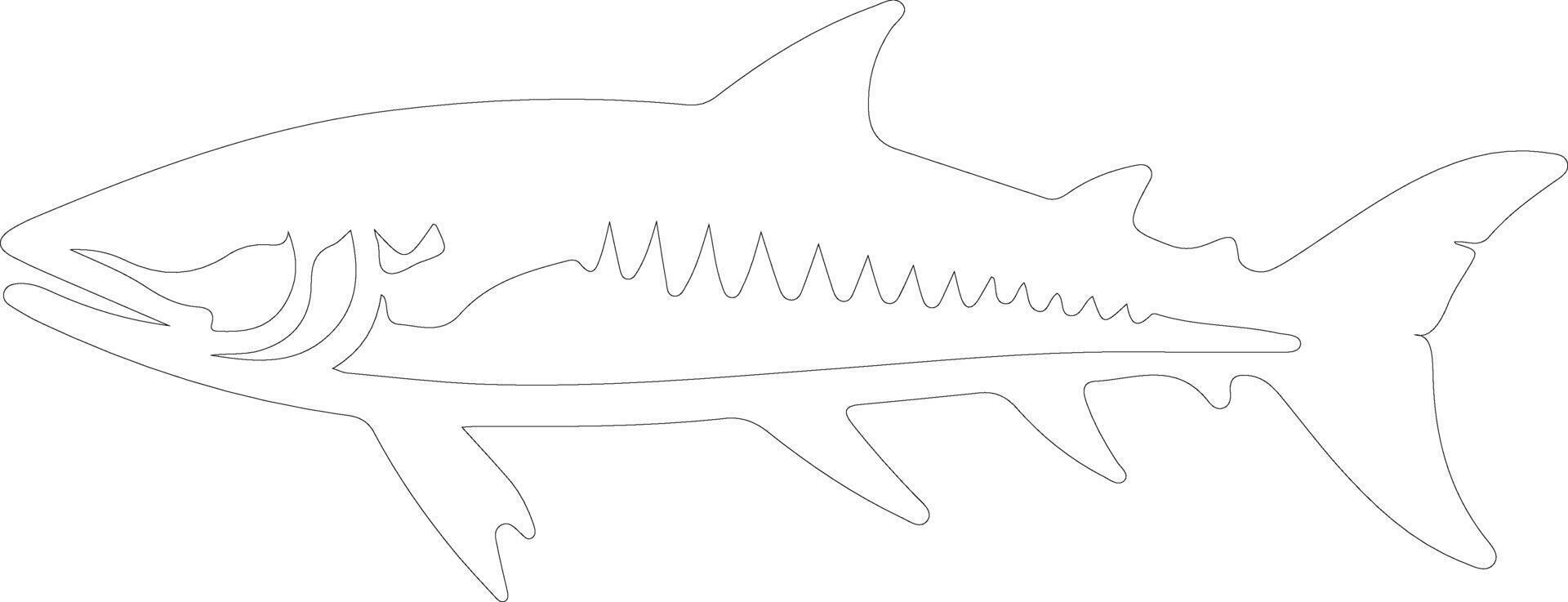 barracuda  outline silhouette vector