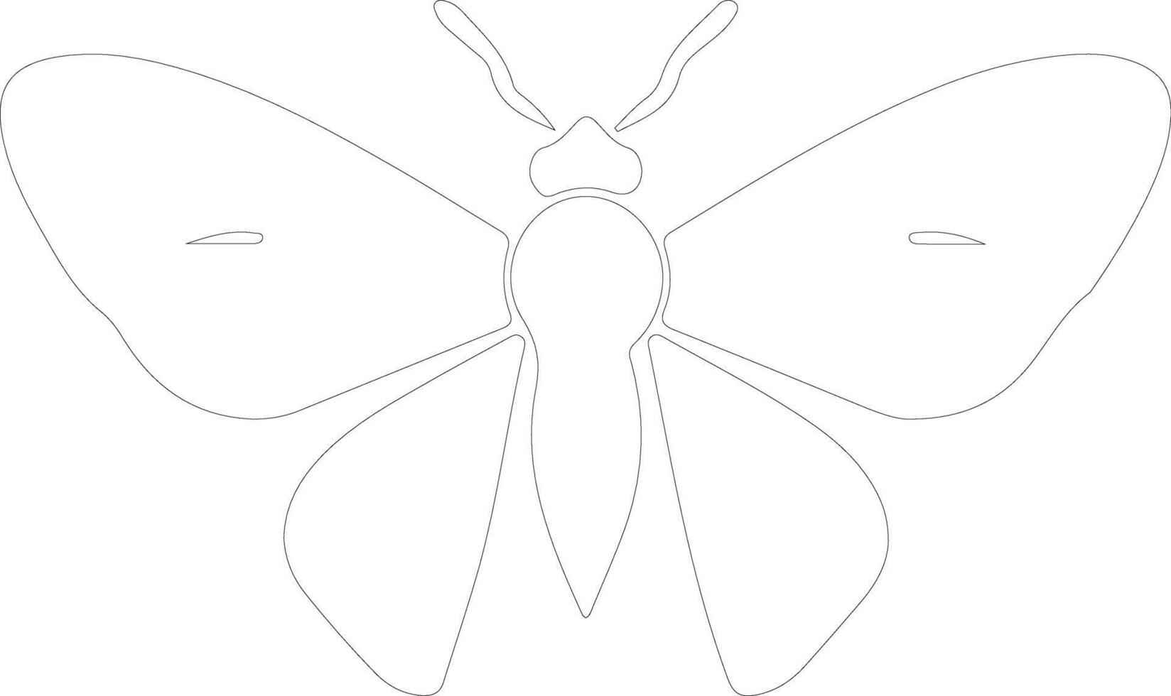 jumping bean moth  outline silhouette vector