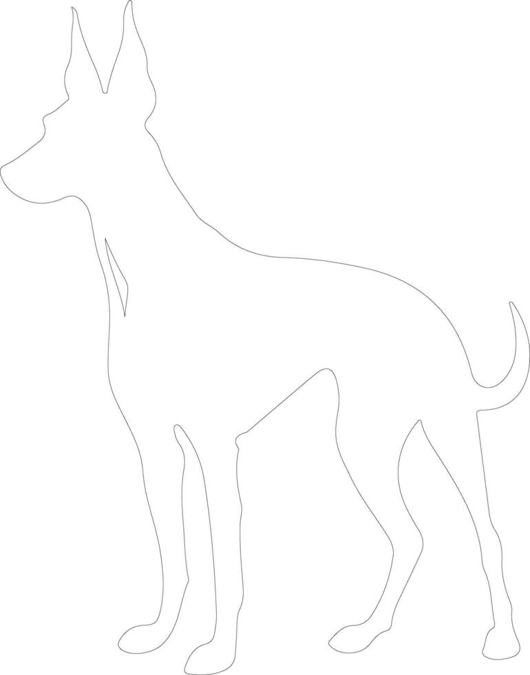 Pharaoh Hound  outline silhouette vector