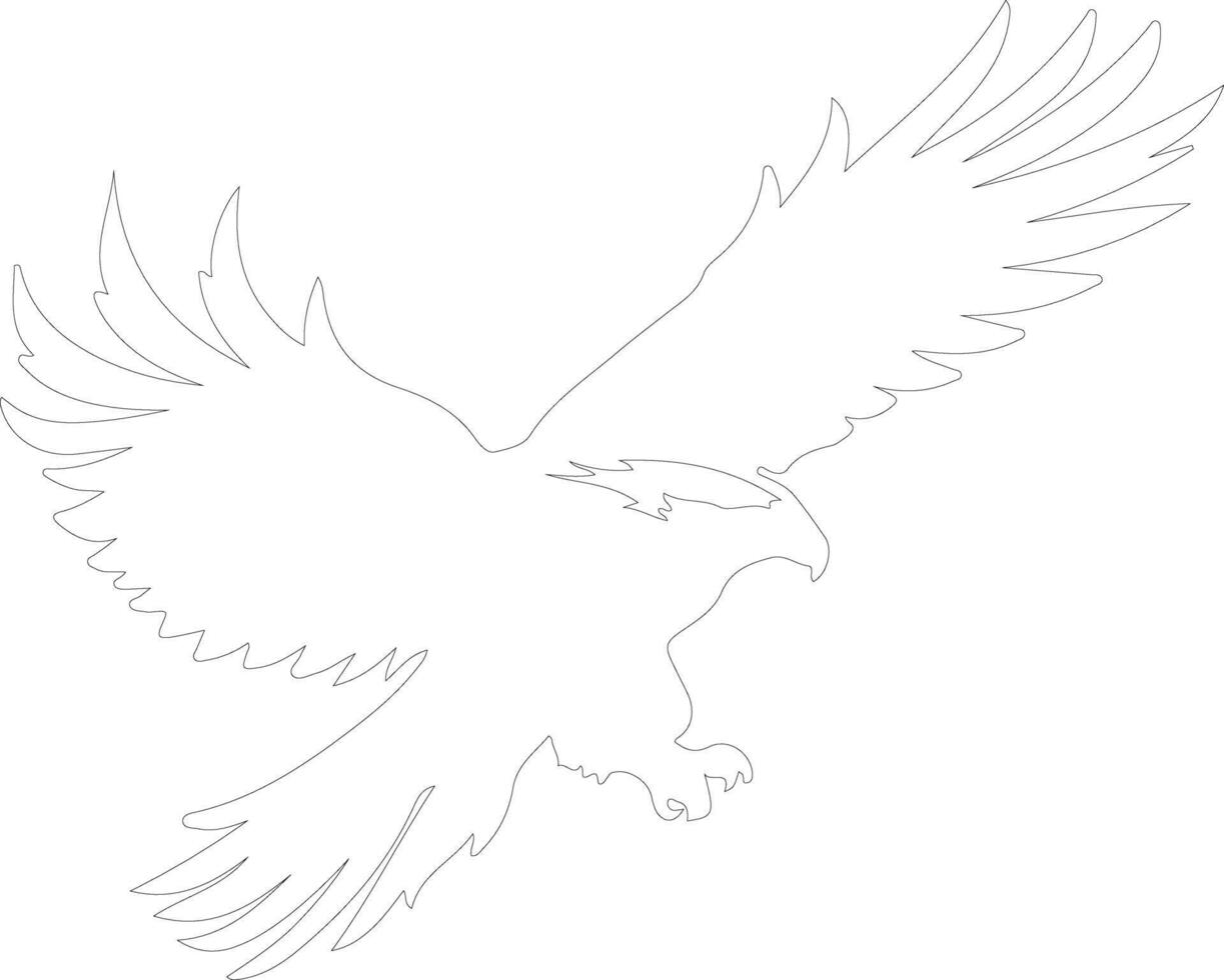 eagle   outline silhouette vector