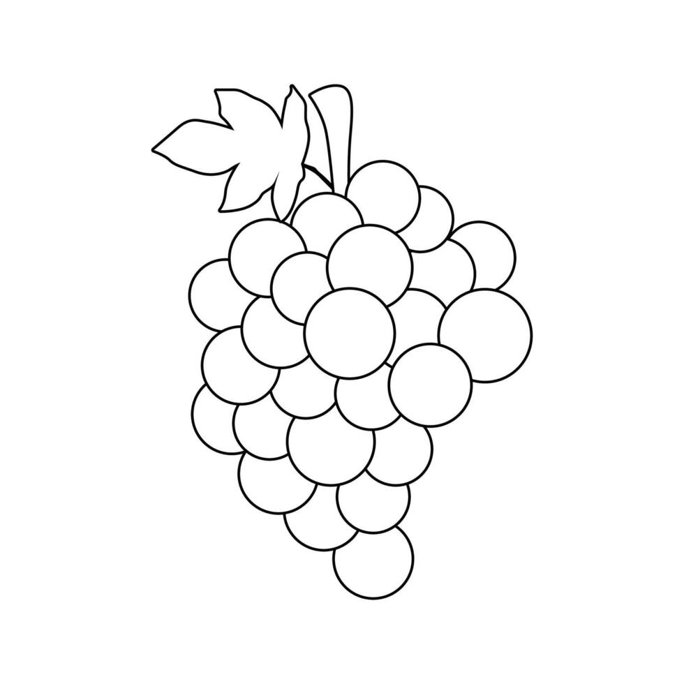 grape fruit illustration 2d flat graphic outlined vector