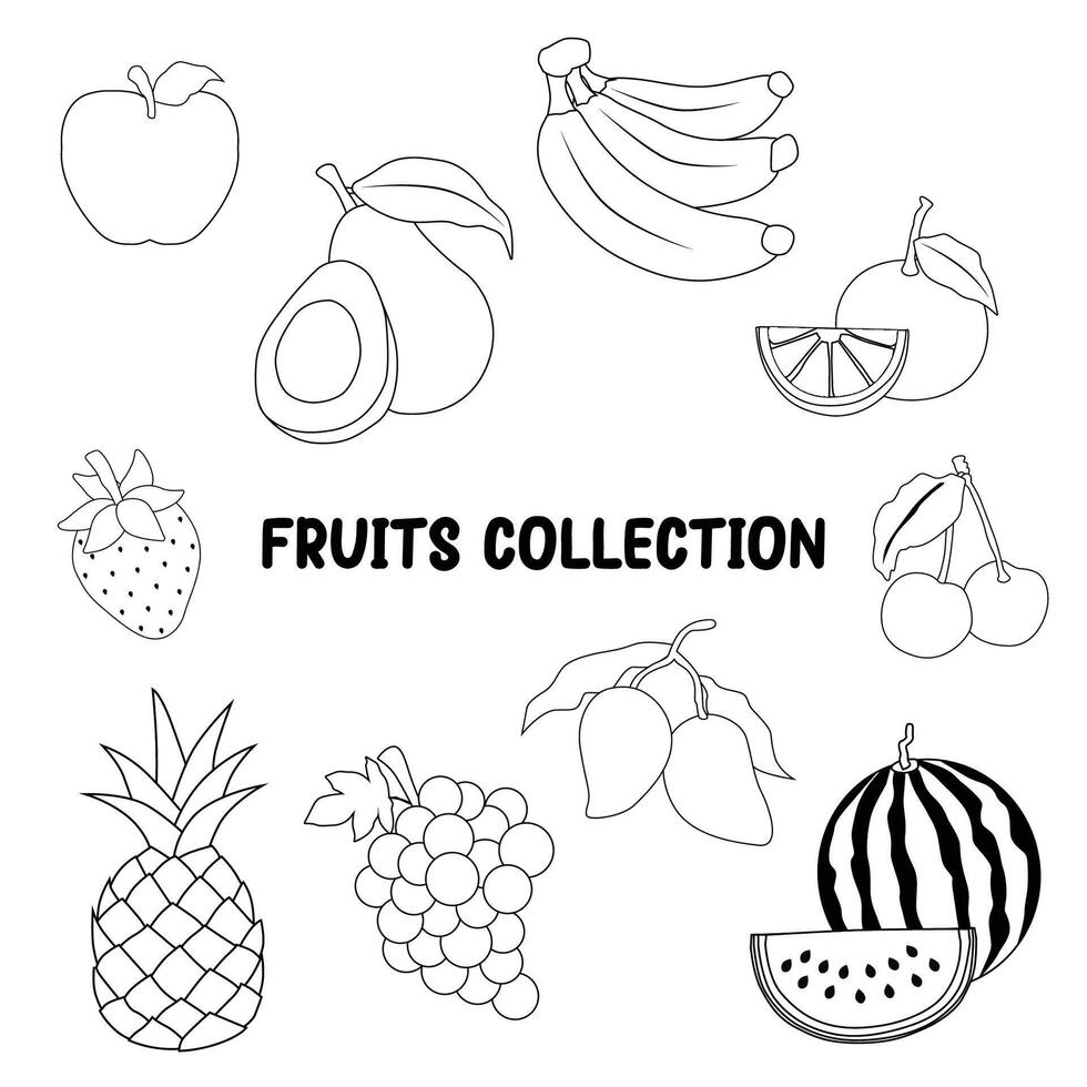 fruits outlined illustration 2d flat graphic collection vector