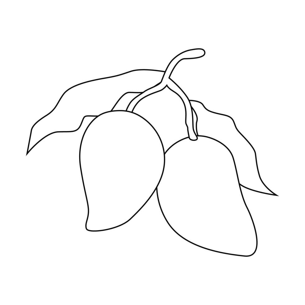 mango fruit illustration 2d flat graphic outlined vector