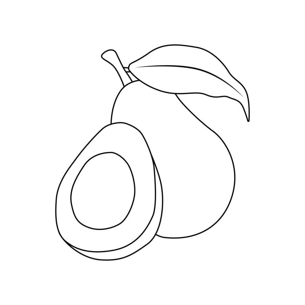 avocado fruit illustration 2d flat graphic outlined vector