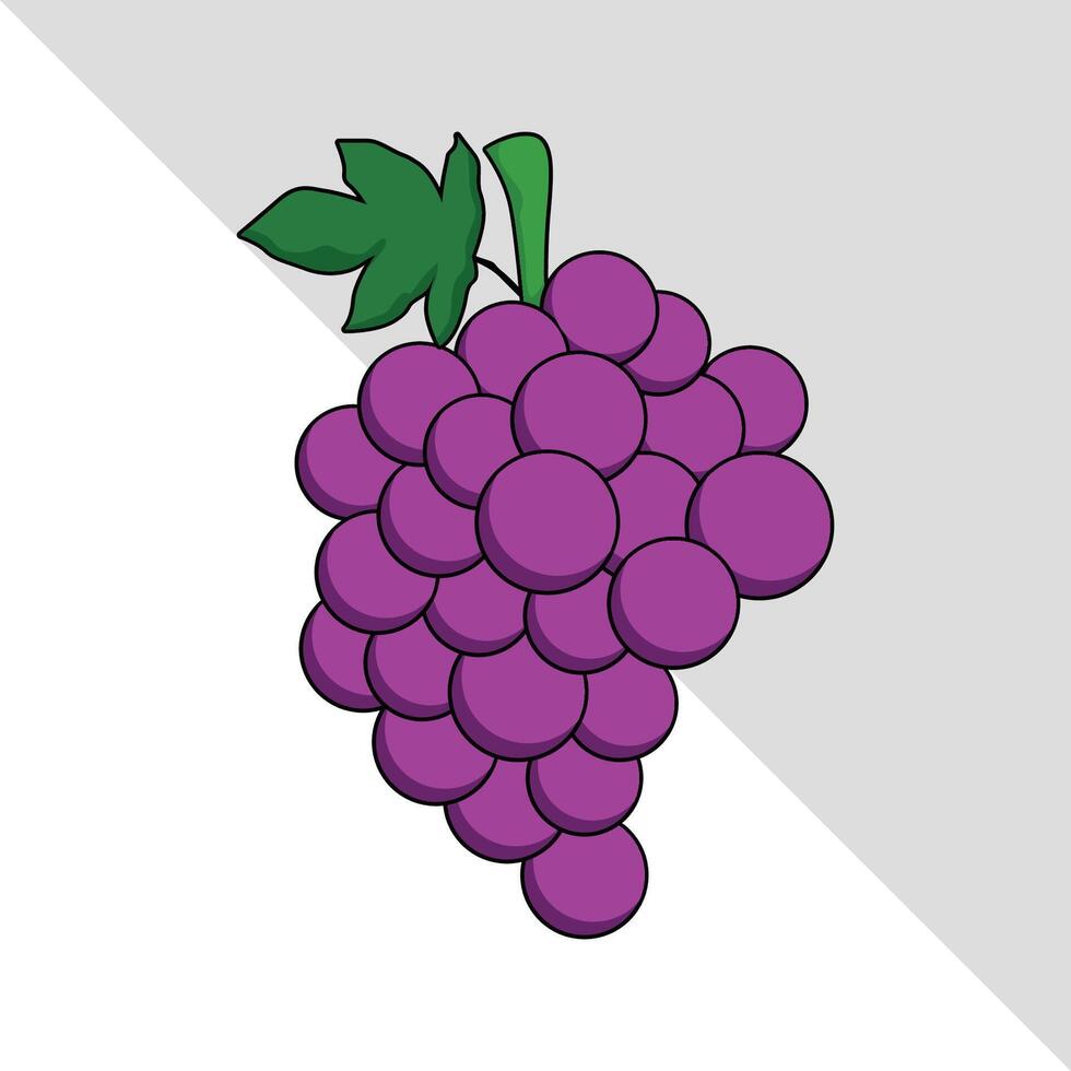 uva Fruta ilustración 2d plano gráfico vector