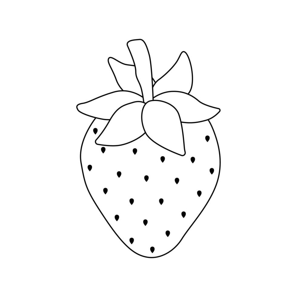 strawberry fruit illustration 2d flat graphic vector