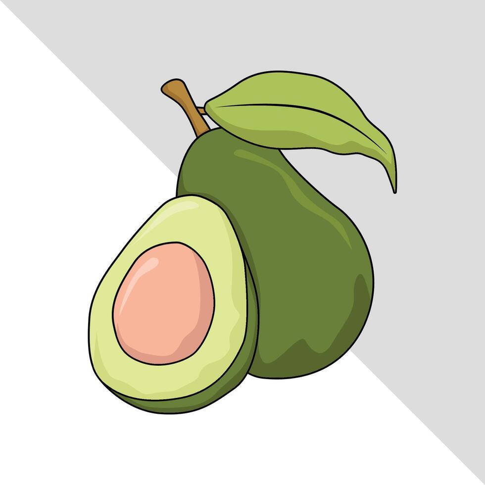 avocado fruit illustration 2d flat graphic vector