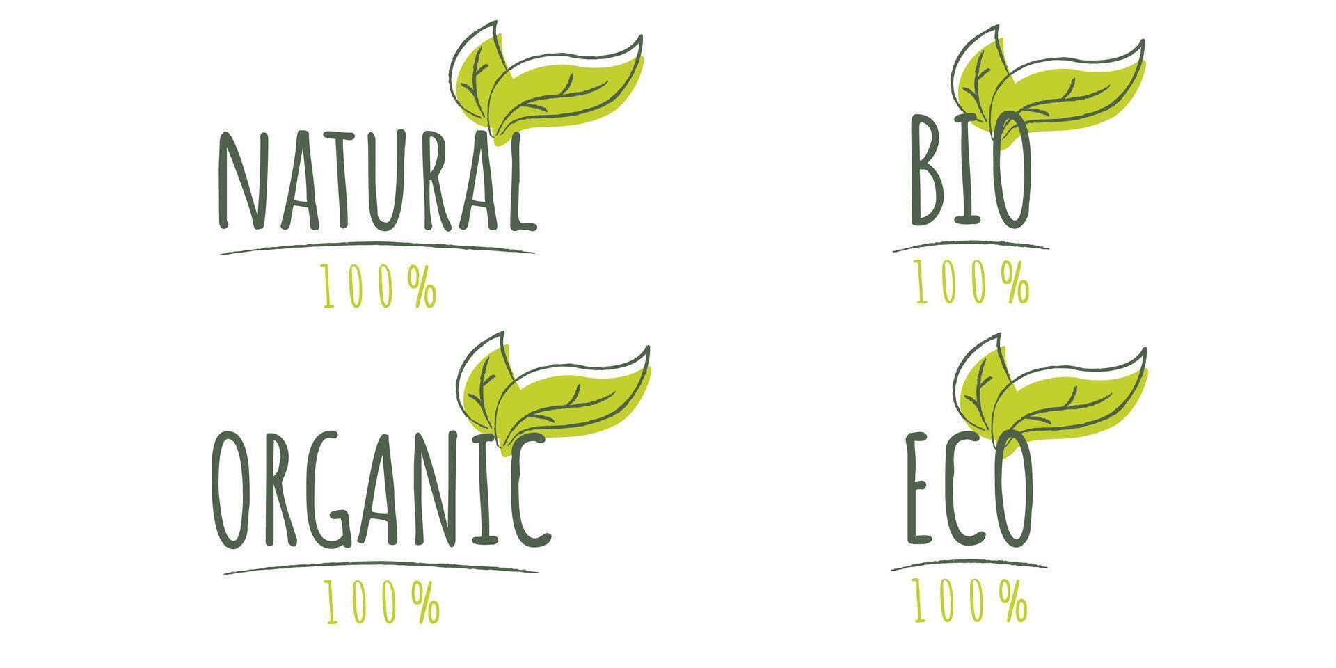 Vector set of Eco, bio, organic natural products label, sticker. Logo template with hand drawn charcoal crayon green leaves for organic products