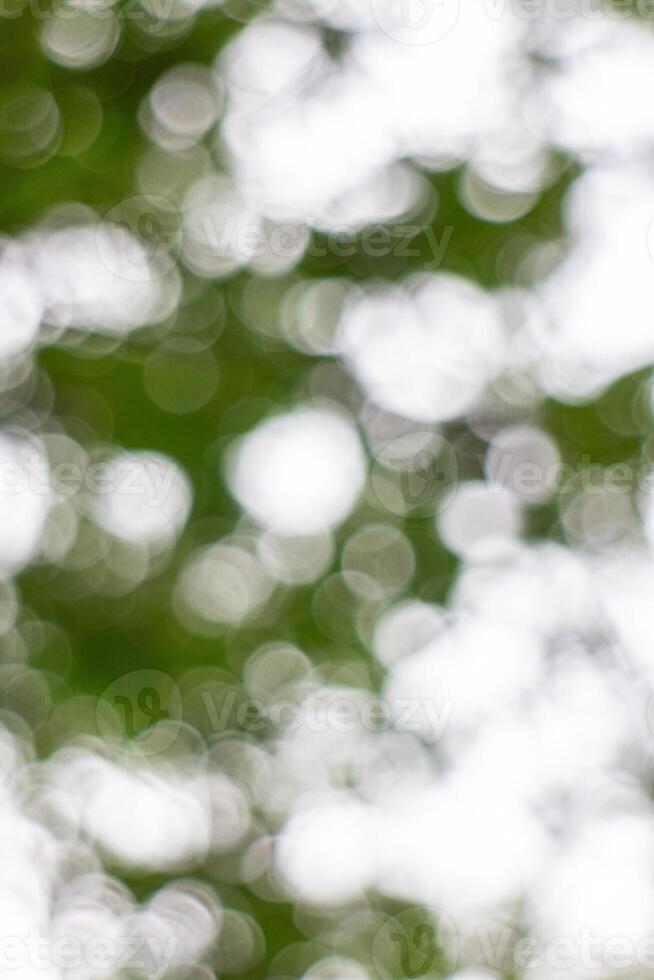 verde bokeh antecedentes desde naturaleza debajo árbol sombra, abstracto foto