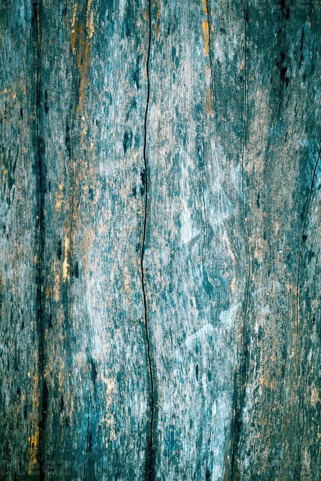 Antique wood surfaces photo