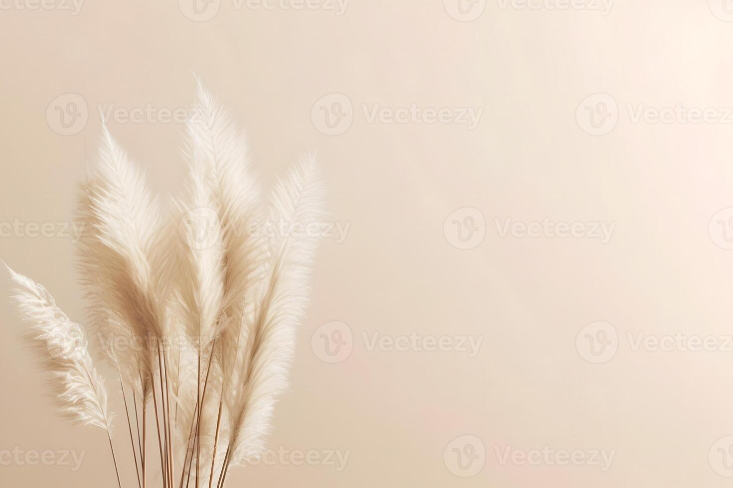 AI generated White fluffy pampas grass background photo