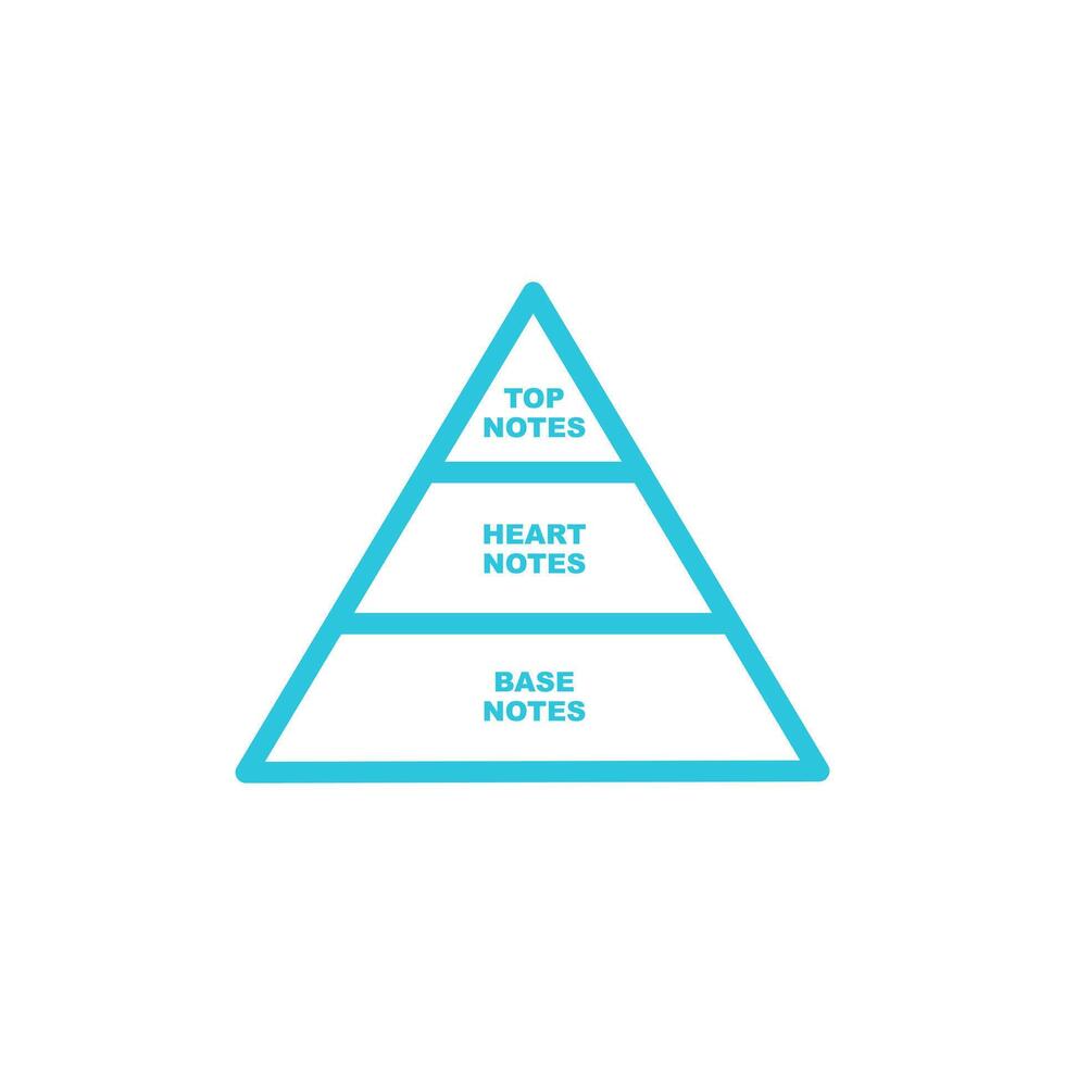 Pyramid of fragrance notes. From blue icon set. vector